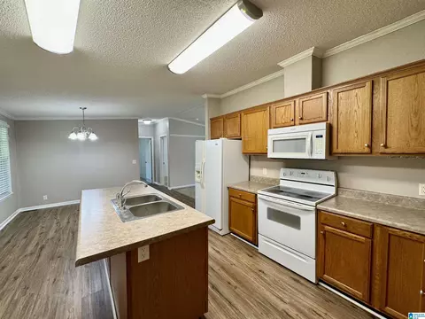 314 Jim Thomas Rd, Hayden, AL 35079 photo 19