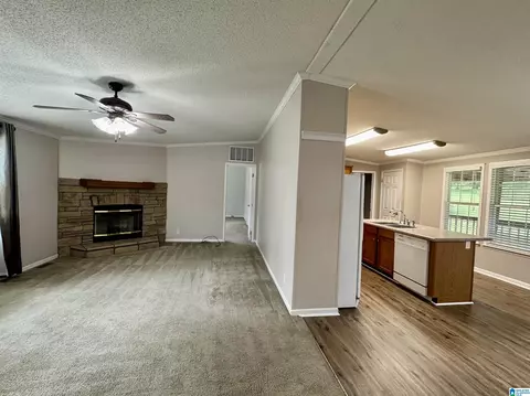 314 Jim Thomas Rd, Hayden, AL 35079 photo 17