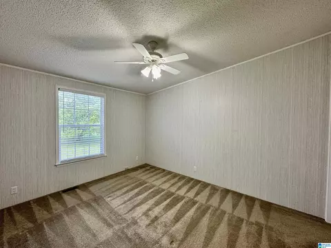 314 Jim Thomas Rd, Hayden, AL 35079 photo 39