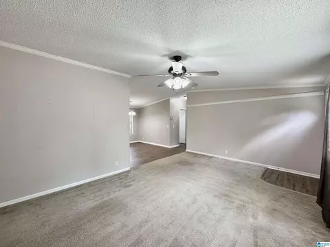 314 Jim Thomas Rd, Hayden, AL 35079 photo 13