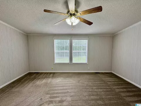 314 Jim Thomas Rd, Hayden, AL 35079 photo 31
