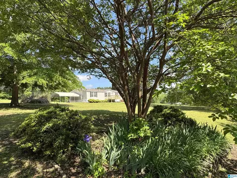 314 Jim Thomas Rd, Hayden, AL 35079 photo 12