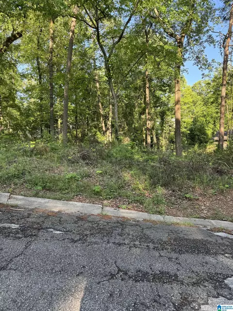 5113 Biddle Cir, Mount Olive, AL 35117 photo 2