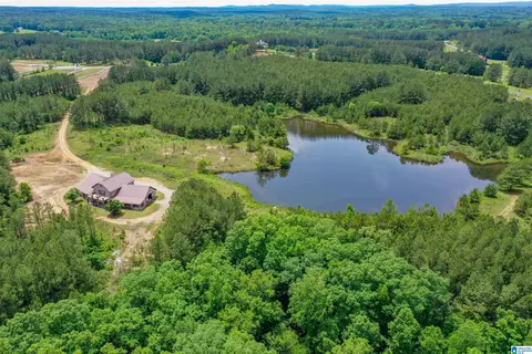 861 Shire Valley Farms, Columbiana, AL 35051