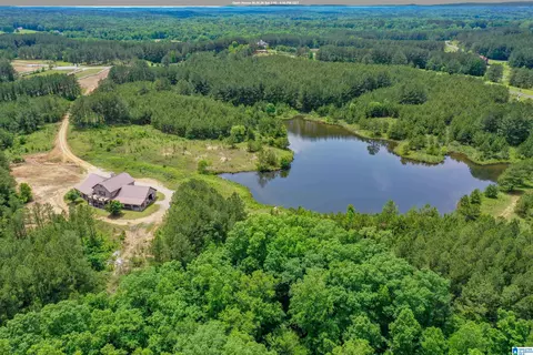 861 Shire Valley Farms, Columbiana, AL 35051