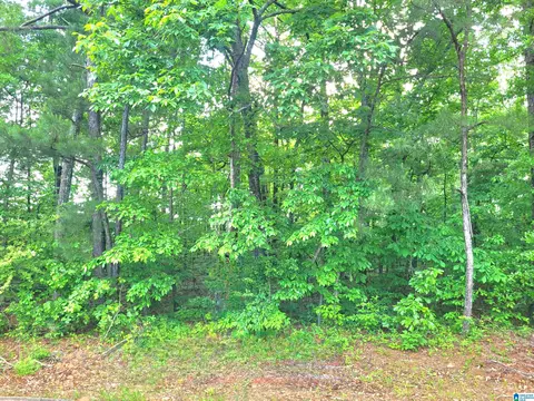 thomas avenue, Talladega, AL 35160