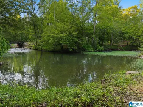 View/Area - 44 Dorr Rd, Oneonta, AL 35121 photo 4 of 7