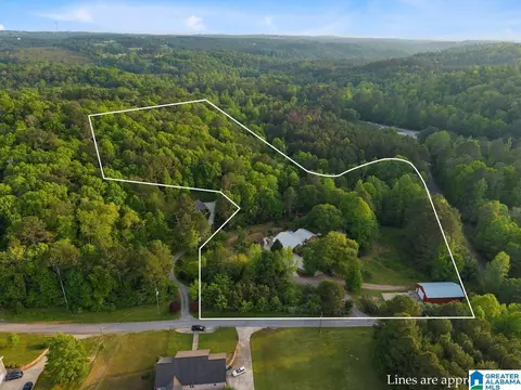 Other - 44 Dorr Rd, Oneonta, AL 35121 photo 1 of 18