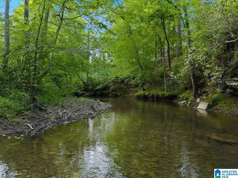 View/Area - 44 Dorr Rd, Oneonta, AL 35121 photo 1 of 7