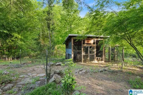 Exterior - 44 Dorr Rd, Oneonta, AL 35121 photo 10 of 13