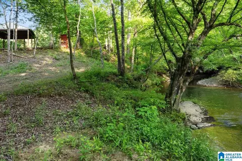 Other - 44 Dorr Rd, Oneonta, AL 35121 photo 13 of 18