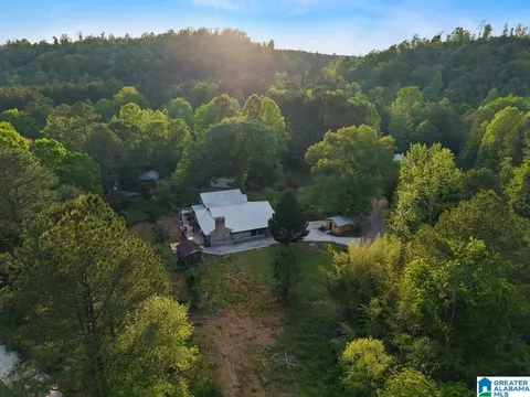 Other - 44 Dorr Rd, Oneonta, AL 35121 photo 10 of 18