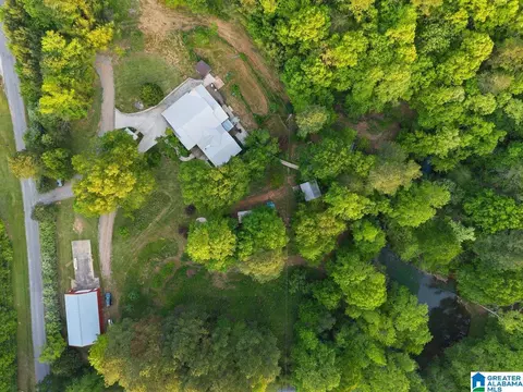 Other - 44 Dorr Rd, Oneonta, AL 35121 photo 16 of 18