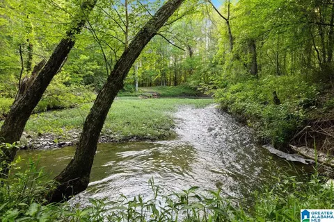 View/Area - 44 Dorr Rd, Oneonta, AL 35121 photo 3 of 7