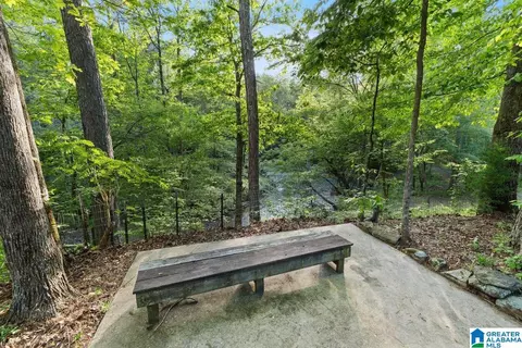 View/Area - 44 Dorr Rd, Oneonta, AL 35121 photo 2 of 7