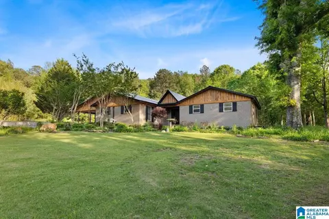 Exterior - 44 Dorr Rd, Oneonta, AL 35121 photo 2 of 13