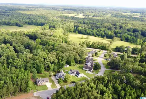 View/Area - 136 Thatcher Dr, Vincent, AL 35178 photo 2 of 3