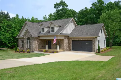 Exterior - 136 Thatcher Dr, Vincent, AL 35178 photo 1 of 13