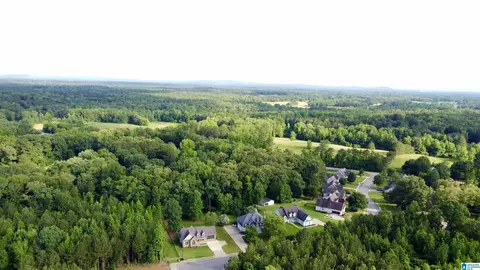 View/Area - 136 Thatcher Dr, Vincent, AL 35178 photo 3 of 3