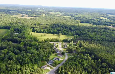 View/Area - 136 Thatcher Dr, Vincent, AL 35178 photo 1 of 3