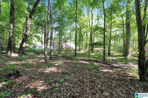 1044 Mountain Trl, Warrior, AL 35180 photo 50
