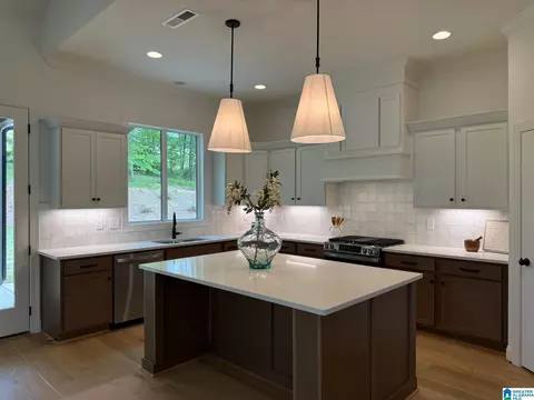 3390 River Birch Trl, Chelsea, AL 35043
