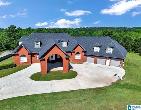 9530 Pineview Rd, Dora, AL 35062 photo 1