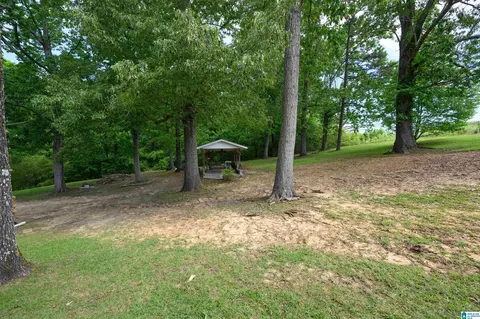 835 Echo Trl, Warrior, AL 35180 photo 35