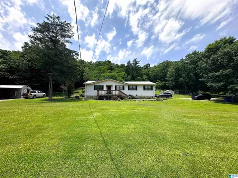 18981 Remlap Dr, Remlap, AL 35133 photo 7