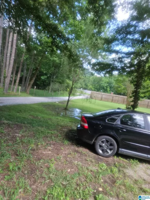 18981 Remlap Dr, Remlap, AL 35133 photo 26