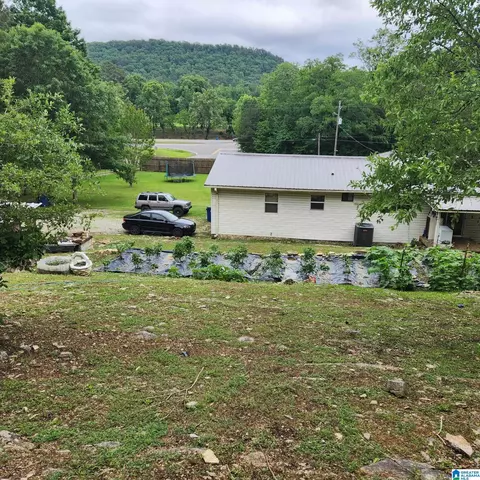 18981 Remlap Dr, Remlap, AL 35133 photo 3