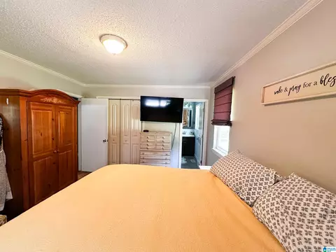 18981 Remlap Dr, Remlap, AL 35133 photo 17