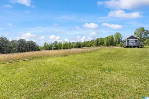 390 Chamblee Ln, Warrior, AL 35180 photo 25
