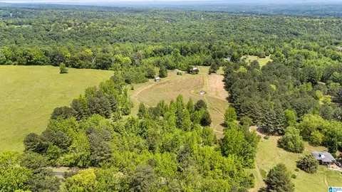 390 Chamblee Ln, Warrior, AL 35180 photo 33