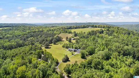 390 Chamblee Ln, Warrior, AL 35180 photo 39