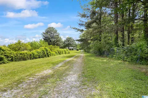 390 Chamblee Ln, Warrior, AL 35180 photo 26