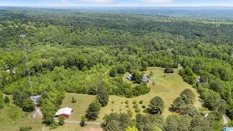 390 Chamblee Ln, Warrior, AL 35180 photo 37
