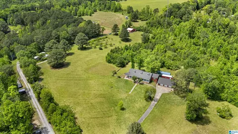 390 Chamblee Ln, Warrior, AL 35180 photo 45