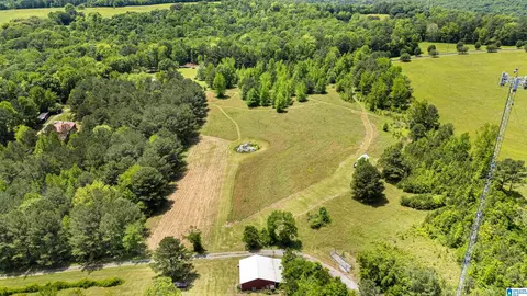 390 Chamblee Ln, Warrior, AL 35180 photo 32