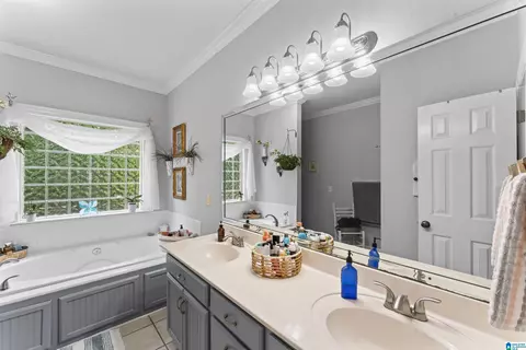 Bath - 13688 Remlap Dr, Remlap, AL 35133 photo 1 of 3