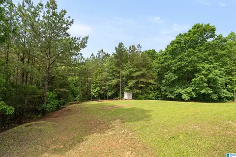 175 Sunhill Rd, Remlap, AL 35133 photo 51