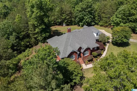 175 Sunhill Rd, Remlap, AL 35133 photo 3
