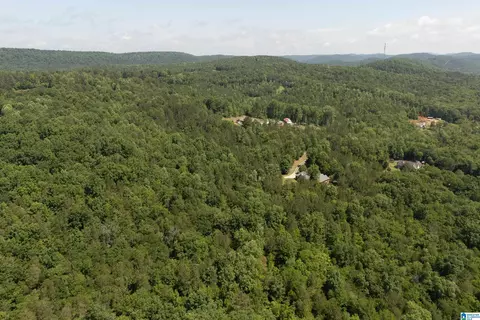 175 Sunhill Rd, Remlap, AL 35133 photo 70