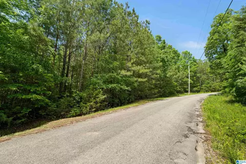 175 Sunhill Rd, Remlap, AL 35133 photo 72