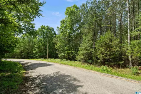 175 Sunhill Rd, Remlap, AL 35133 photo 71