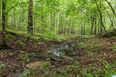 175 Sunhill Rd, Remlap, AL 35133 photo 55
