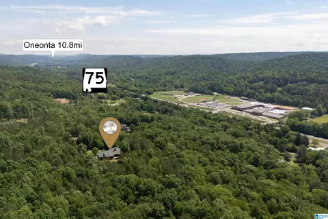 175 Sunhill Rd, Remlap, AL 35133 photo 63