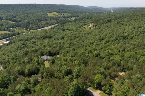 175 Sunhill Rd, Remlap, AL 35133 photo 68