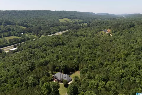 175 Sunhill Rd, Remlap, AL 35133 photo 66