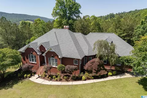 175 Sunhill Rd, Remlap, AL 35133 photo 6